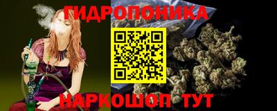 СК Гай