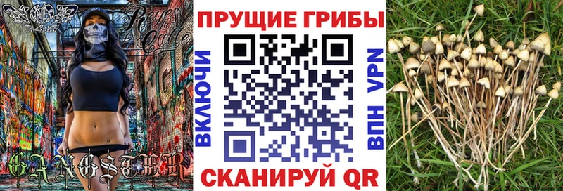 Псилоцибиновые грибы MAGIC MUSHROOMS  купить  сайты  Спасск-Дальний 